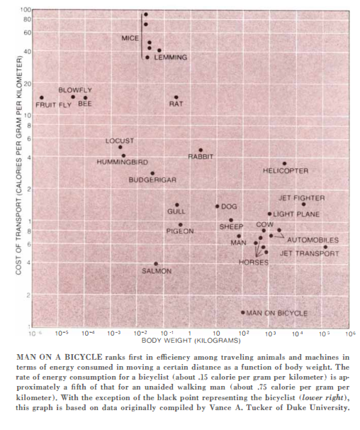 Bicycle is the most efficient form of transportation